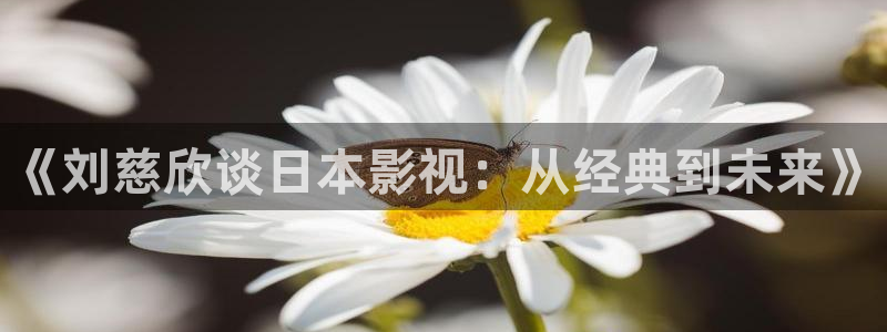 星辰影院最新动漫