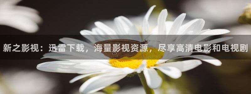 势均力敌的我们星辰影院